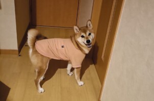 ロンくんとメルくん