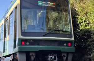 かまくら朝さんぽ