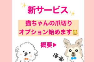 猫ちゃん爪切りオプション🐱
