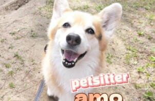 一番の理解者は飼い主様です