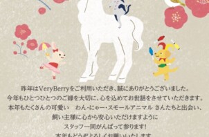 2026年のはじまりに｜感謝とご挨拶