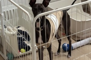 都筑区　ソルくん＆ルナくん