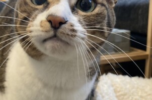 はなちゃん、かぐらちゃん