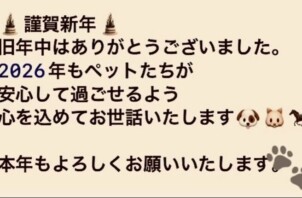 新年明けましておめでとうございます‼️