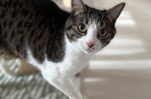 コハクちゃんのお世話に行きました