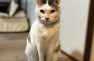 オルくん、ナブーちゃんのお世話に行きました