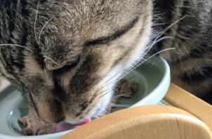 お世話風景３３．シャル君れい君