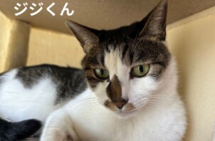 ジジくん、リンちゃんのお世話に行きました