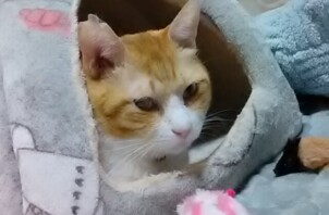 穏やかでおっとりなぼくです♪