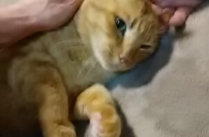 ほんとはさみしかったんだ♪