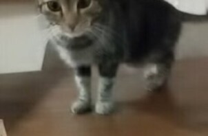 元気いっぱい遊びます♪