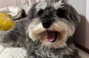 ☆今週のCoco Maisonフレンズ(164)☆