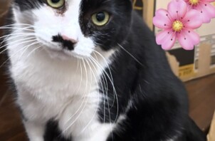 ☆今週のCoco Maisonフレンズ(166)☆