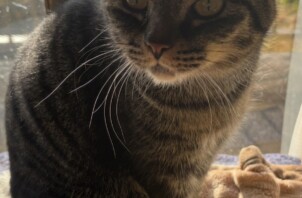 ♡今週のCoco Maisonフレンズ(167)♡