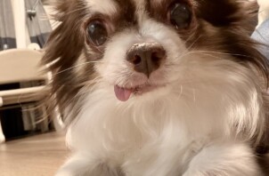 【お世話報告】日向ぼっこでスヤスヤ。イナバちゃんの甘えん坊タイム