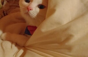 お世話風景３５．けいちゃん