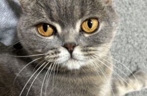 サクラちゃんのお世話に行きました