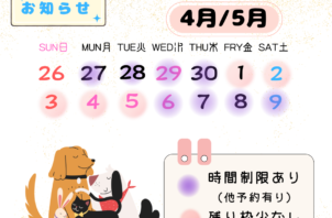 GWのご予約は早めがおすすめです