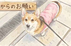 【再投稿】お世話内容の変更のご連絡について