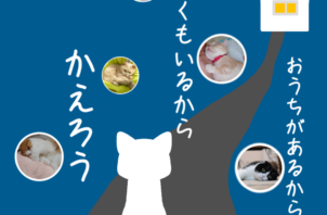 ～迷子のペットをお探しの方へ～脱走猫の捜索いたします