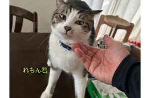れもん君、めろん君のお世話に行きました