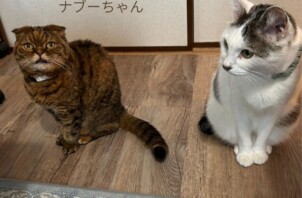 ナブーちゃん、オルくんのお世話に行きました