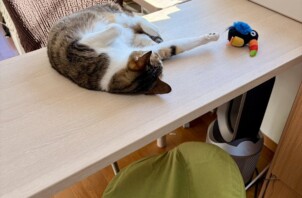 【お世話報告】優しいソフトタッチに感動。さぁちゃんとの対話の時間