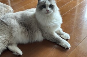 都筑区　ゆきちゃん