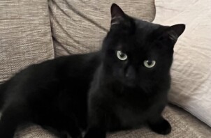 緑区　あもちゃん