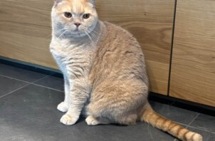 都筑区　おはぎさん&もちさん