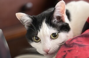 ひょこっと出してくれたお顔がかわいい😍