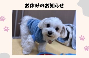 お休みのお知らせ