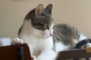 リラックスした様子で過ごしてくれました😄