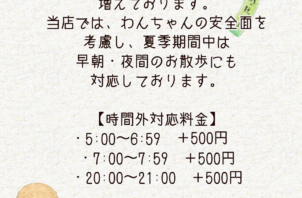 わんちゃんのお散歩代行🐶夏季の対応についてのお知らせです🐾