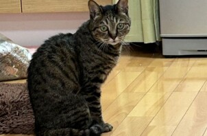 トトちゃんのお世話に行きました