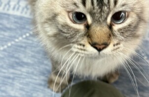 ２匹とも近くに寄って来てくれてかわいい🥰