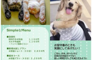 価格改定のお知らせ