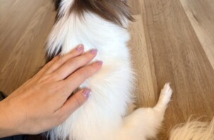 【お世話報告】さすがの察知能力！甘えん坊イナバちゃんとのまったりタイム