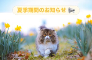 夏季期間のお知らせ📢