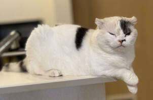 かわいいポーズに癒されました🥰