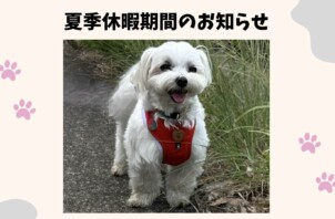 夏季休暇期間のお知らせ