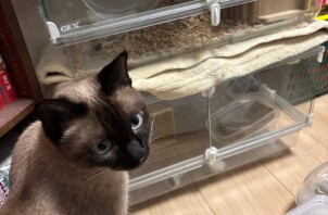 麻生区　つぶちゃん