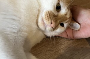 そらくん、まめちゃん