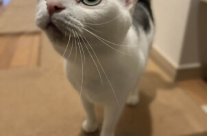 まいにゃんのお世話に行きました