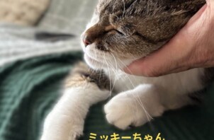 ミッキーちゃんのお世話に行きました