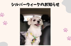 シルバーウィークのお知らせ