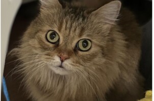ミコちゃん、アルくん、ララくんのお世話に行きました
