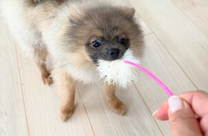 元気いっぱい