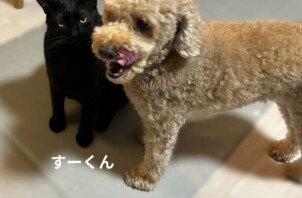 まるくん、すーくんのお世話に行きました