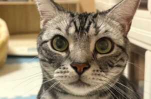 都筑区　アクアちゃん